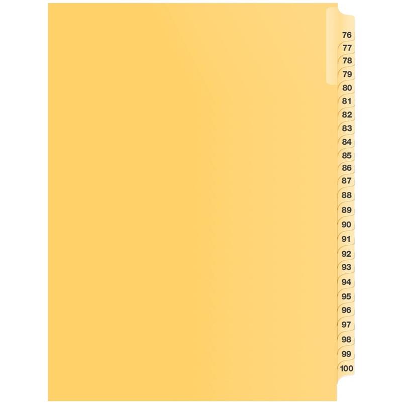Image Litigation Index Dividers